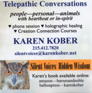 Karen Kober Telepathic Conversations